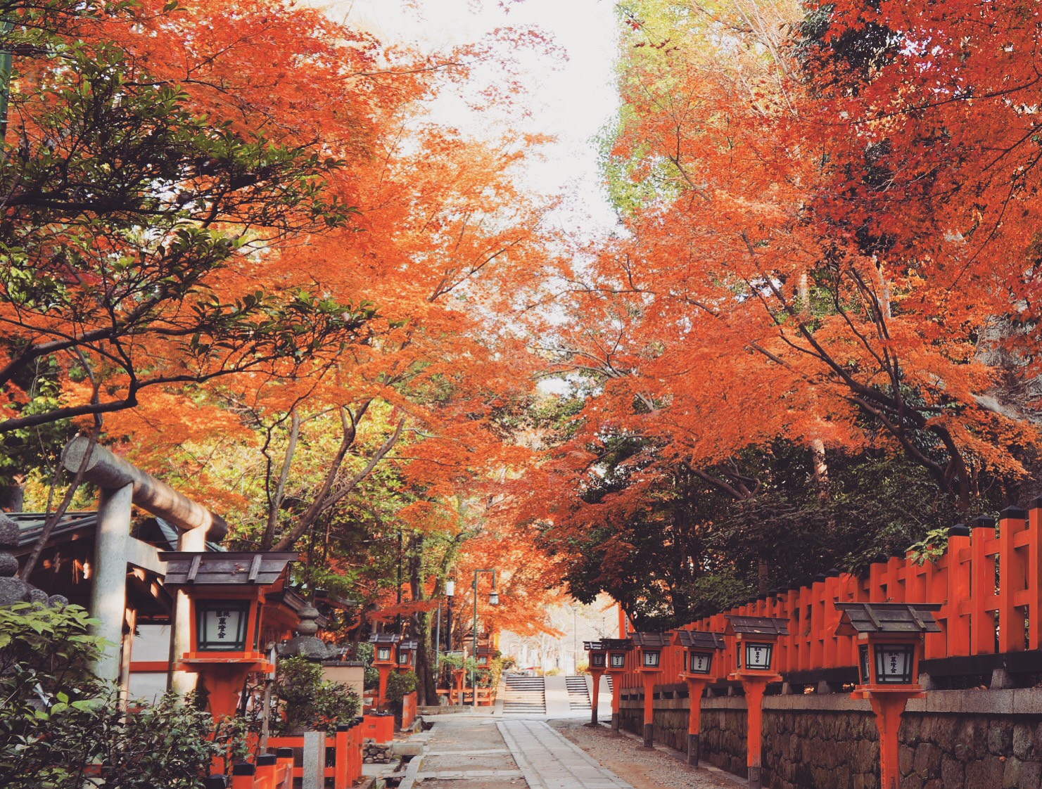 八坂神社、紅葉スポット♪