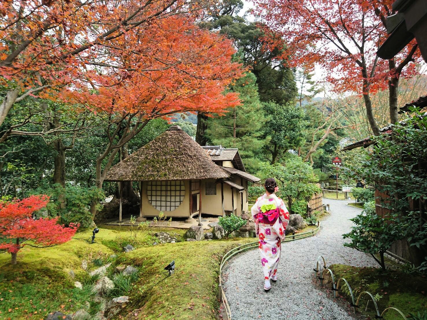 ☆ 京都紅葉ライトアップ日程 ☆