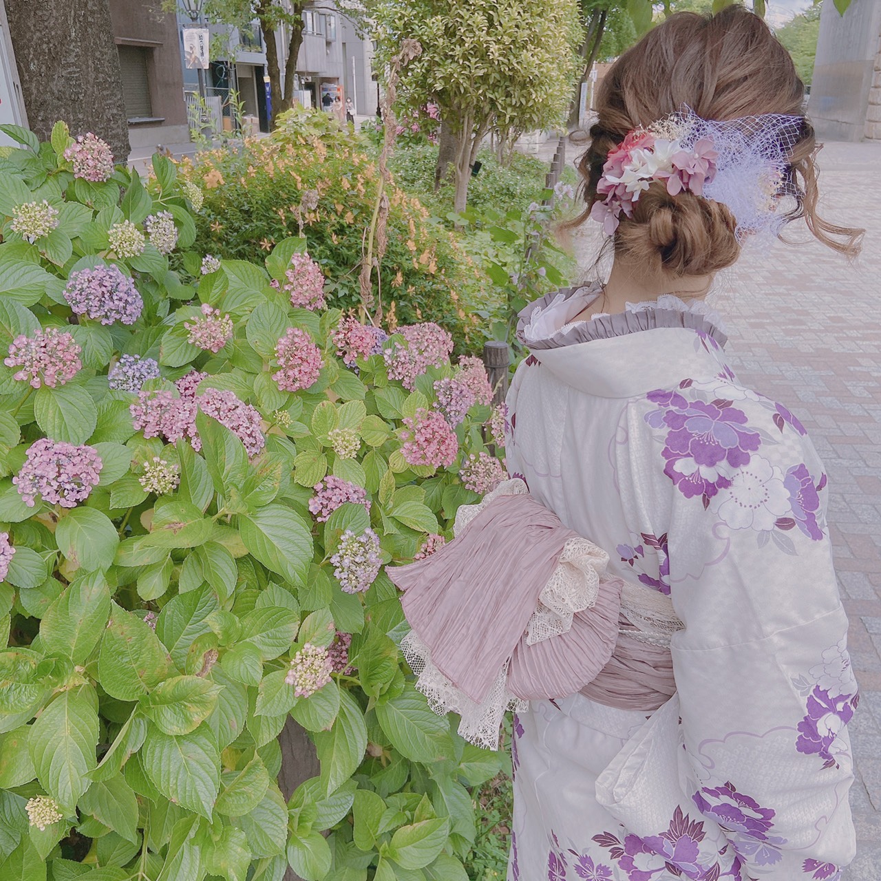 紫陽花が涼しげですね♪